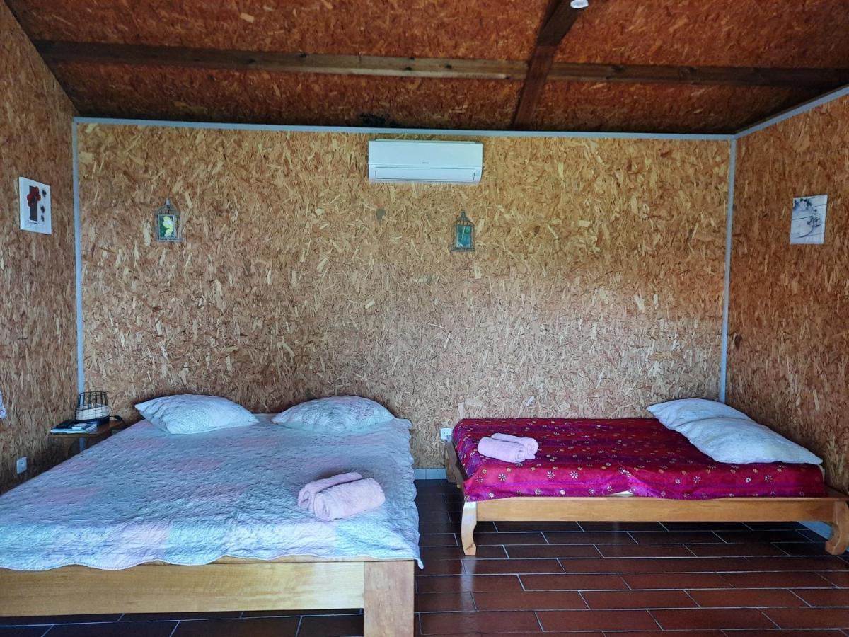 Ferme Auberge Le Ti'Planteur Saint-Philippe Zewnętrze zdjęcie